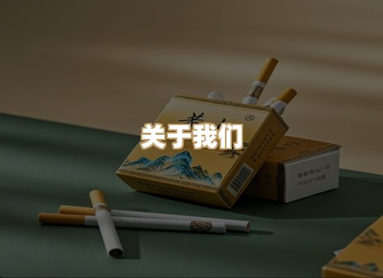 关于御龙烟网